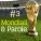 #3  Quasi Maradona