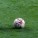 Juventus – Roma, il big match delle polemiche e delle assurdità