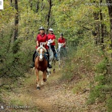 Ad Anghiari l’edizione 2015 della Coppa delle Regioni di Endurance