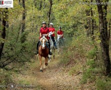 Ad Anghiari l’edizione 2015 della Coppa delle Regioni di Endurance