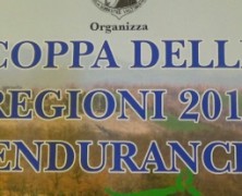 Le interviste video pre Coppa delle Regioni Endurance 2015